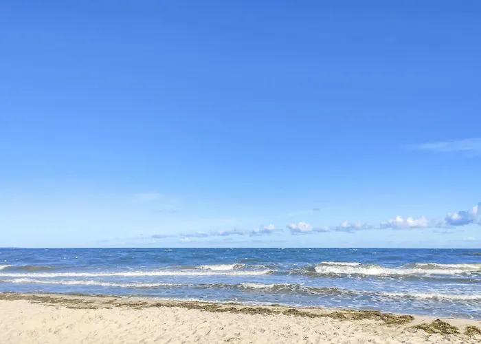 Amazing In With Wifi *